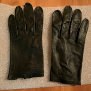 Cover image of  Gloves